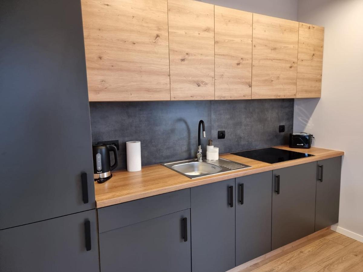 Piekny Apartament Przy Parku, Blisko Dworca, Centrum ラドム エクステリア 写真